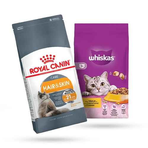 غذای خشک گربه ها