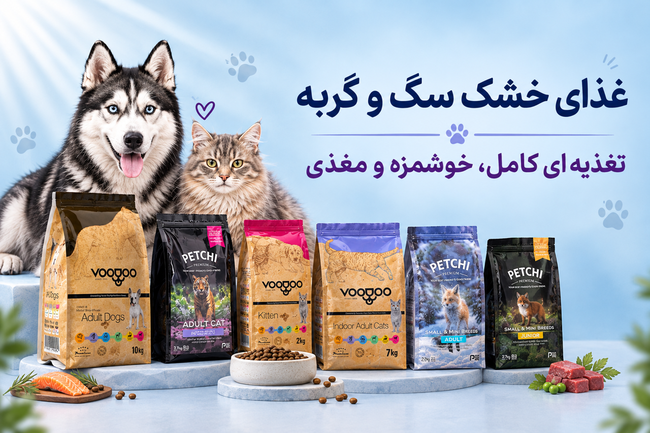 غذای خشک سگ و گربه | راهنمای کامل انتخاب بهترین غذای خشک