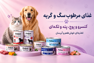 غذای مرطوب سگ و گربه | راهنمای کامل کنسرو و پوچ (پته، چانکی و...)